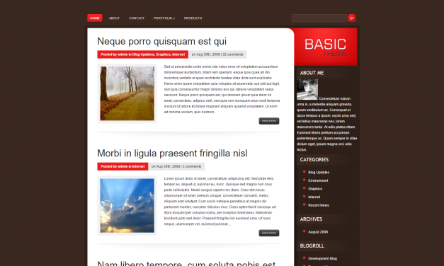 WordPress Šablona Basic