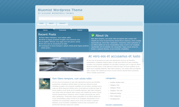 WordPress Šablona BlueMist