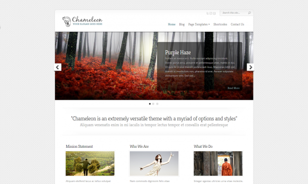 WordPress Šablona Chameleon
