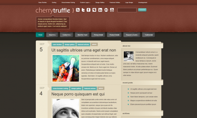 WordPress Šablona CherryTruffle