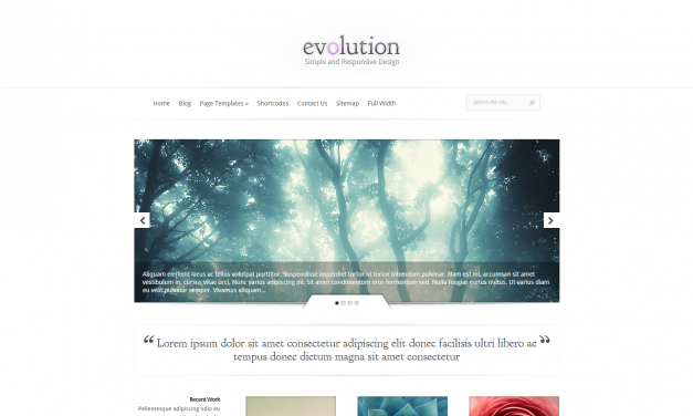 WordPress Šablona Evolution